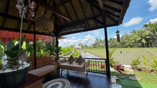 Eco Oasis Wooden Villa Ubud - 8