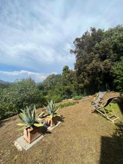 Residenza Le Agavi in Capoliveri - Capoliveri - 1