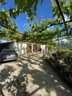 Village cottage - 9