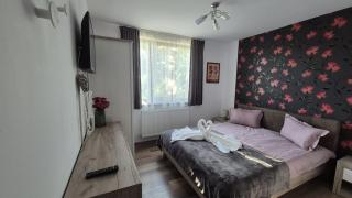 Sofia Apartment - Piatra Neamţ - 2