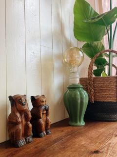 Cozy Tiny House in the forest with spacious private garden - Zuidwolde - 5