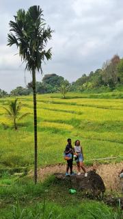 Bamboo Craft Homestay - Sangyang - 8