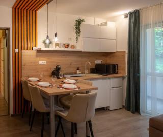 Stay & Spa Central - Sfântu-Gheorghe - 7
