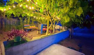 Princ Tents - - 0