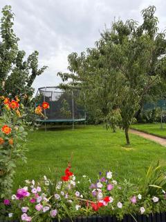 RadlerNest am Wasserkreuz -  - 2