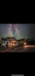 The Swan - 1