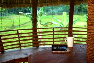 Minash Villa By Mirth, Wayanad, Kerala - 8