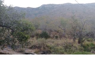 Inkonka Game farm - 1