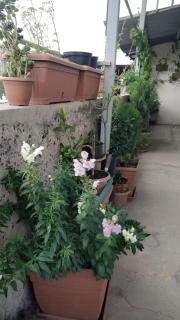 Cosy green room with nice view - 8