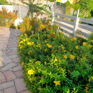 UNE SEULE ENVIE, CELLE D'Y REVENIR - 8