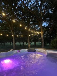 The Birds Nest - NEW - Sand Springs - 6