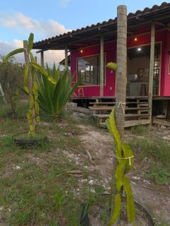 Casa Pitaya - 0