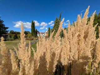 Queen of Safran Ferienhaus - 5