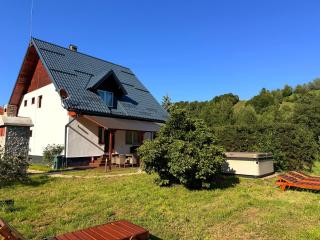 Bradutul de la munte Chalet - 9