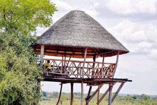 Mawila Big Five Lodge - 5