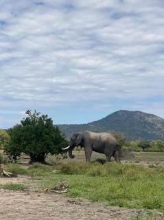 Mawila Big Five Lodge - Liwonde - 1