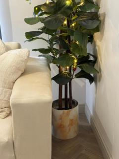 Rosebank elegance - 5
