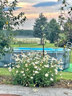 Hof zum alten Birnbaum - 4