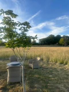 Stunning Cotswolds guest house - 6