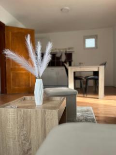 Tara Nest - 7