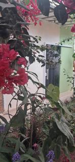 Casa Gerânio - 5