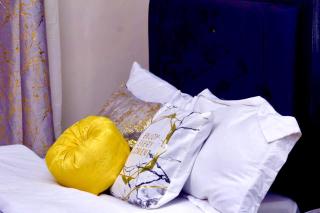 Vee suites Studios in thindiqua Kiambu - 0