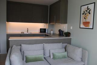 Modern, well-equipped apartment in central Oslo with breathtaking views - 1