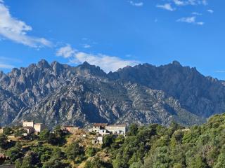 Domaine U Filanciu - Centru di Corsica - 4