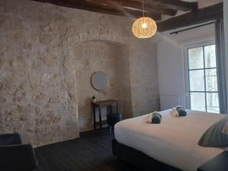 Appartement de charme L'écrin du Castel Classé 3 étoiles - Azay-le-Rideau - 6