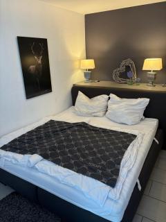 Waldzeit Braunlage - WLAN - Parkplatz - Terrasse - ebenerdig - 6