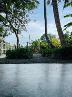 Suda Garden - Habaraduwa - 8