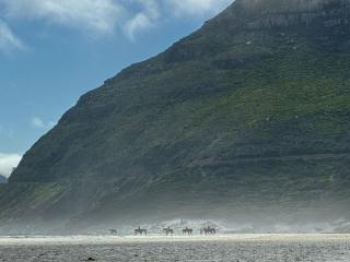 Protea Lodge - 5