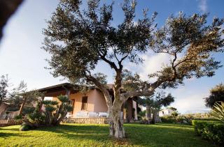 Holiday Home Nicola Santoro - 6