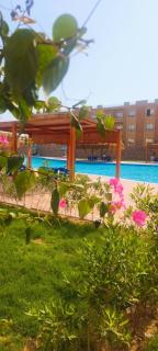 Bey View sahl hashish - 2