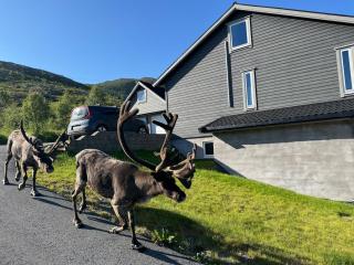 Ersfjord Villa Apt 1 - Tromsø - 9