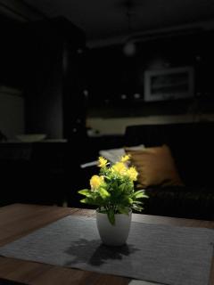 napartmentss - 5