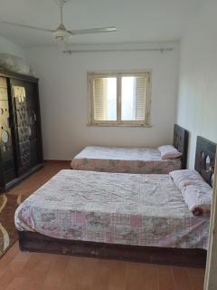 furnished apartment - Il Cairo - 2