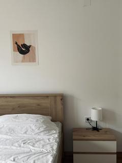 City apartment Skopje - Vojnica - 2