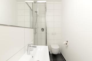 Löwe Apartment Gelb Tiengen Altstadt - 6