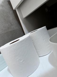 The Modern Nest Near OR Tambo Nearby Shopping Mall - 5