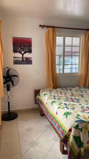 Villa Maraeroa PK 20,800 bord de mer - 5