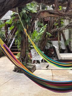 Eco-hotel El Rey del Caribe - 5