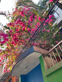 March Garden next to the Furniture Market - Shunde - 5