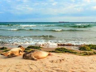 5 star holiday home in Skagen-By Traum - 1