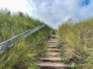 Luxury Pool House near Sea - By Traum Ferienwohnungen - 7