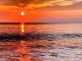 Luxury Pool House Retreat - By Traum Ferienwohnungen - 3