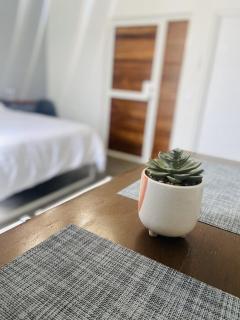 Tibe New and cozy studio at downtown - 5