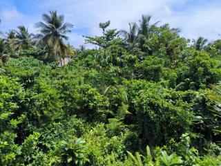 Spacious 2BR Villa with Garden - 2