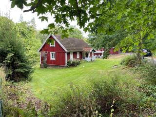 5 person holiday home in Immeln - 0