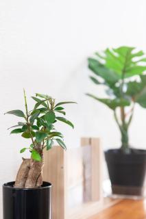 Niko House Furano - 5